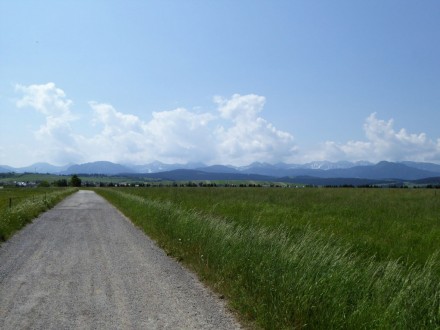 Droga ze starej stacji Suchá Hora do wsi. fot. Wojciech Goj